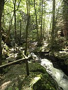 P9180013.JPG