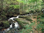 P9180016.JPG