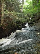 P9180017.JPG