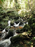 P9180019.JPG