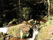 P9180021.JPG