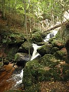 P9180022.JPG