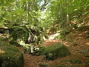 P9180023.JPG