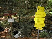 P9180025.JPG