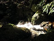 P9180026.JPG
