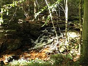 P9180027.JPG
