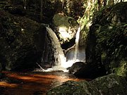 P9180033.JPG