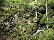 P9180041.JPG