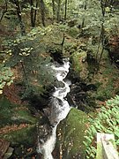 P9180043.JPG