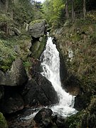 P9180046.JPG