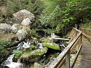 P9180049.JPG