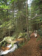 P9180050.JPG