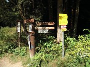 P9180051.JPG