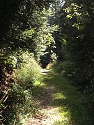 P9180053.JPG