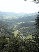 P9180055.JPG