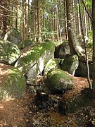 P9180057.JPG