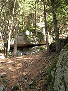 P9180060.JPG