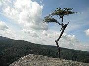 P9180062.JPG