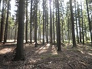 P9180067.JPG