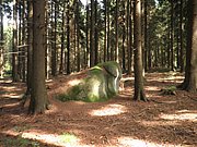 P9180068.JPG