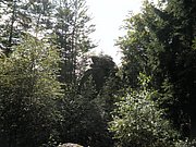 P9180070.JPG
