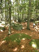 P9180077.JPG