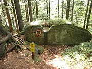 P9180080.JPG