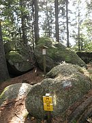 P9180081.JPG