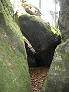 P9180085.JPG