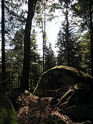 P9180086.JPG