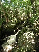 P8140006.JPG