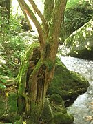 P8140009.JPG