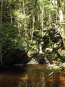 P8140011.JPG