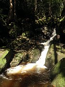 P8140014.JPG