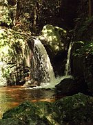 P8140018.JPG