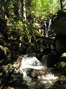 P8140019.JPG