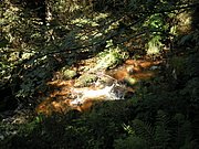 P8140028.JPG