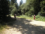 P8140029.JPG