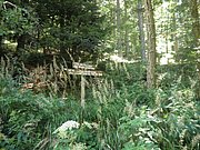 P8140031.JPG