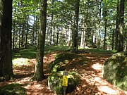 P8140036.JPG