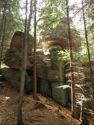 P8140038.JPG