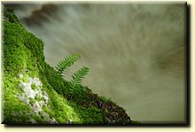 IMGP5302.JPG