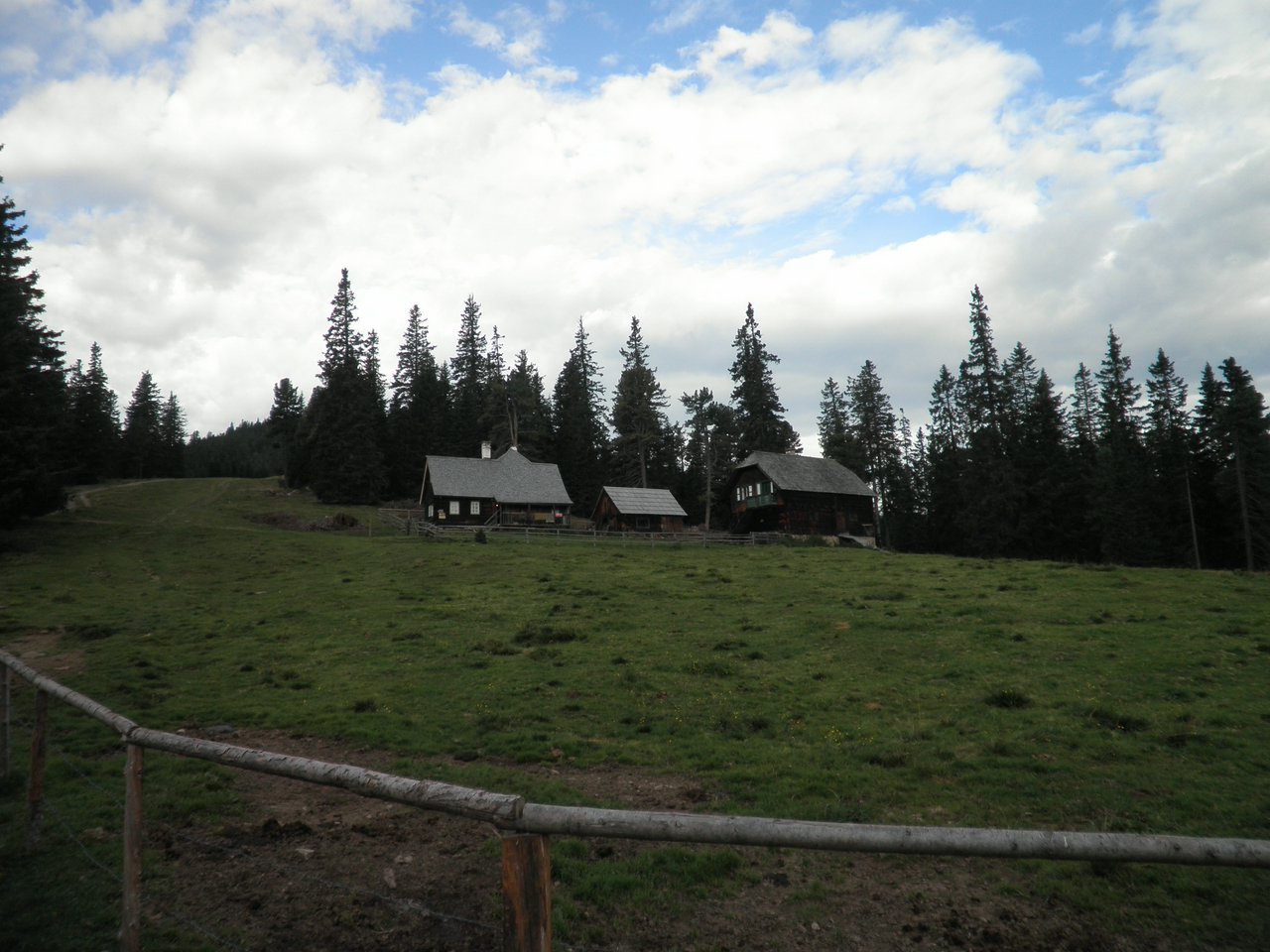 P9020003.JPG