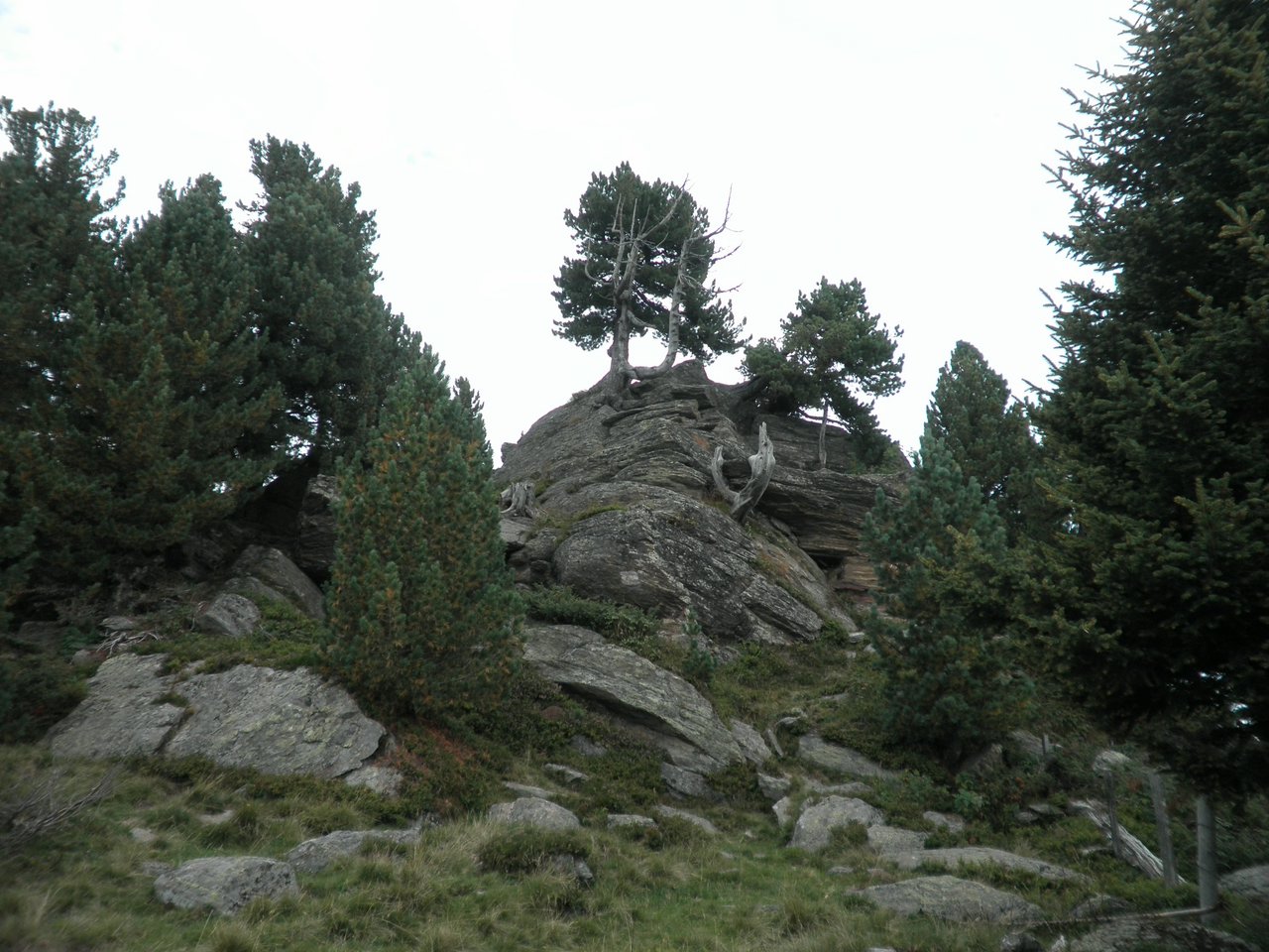 P9020011.JPG