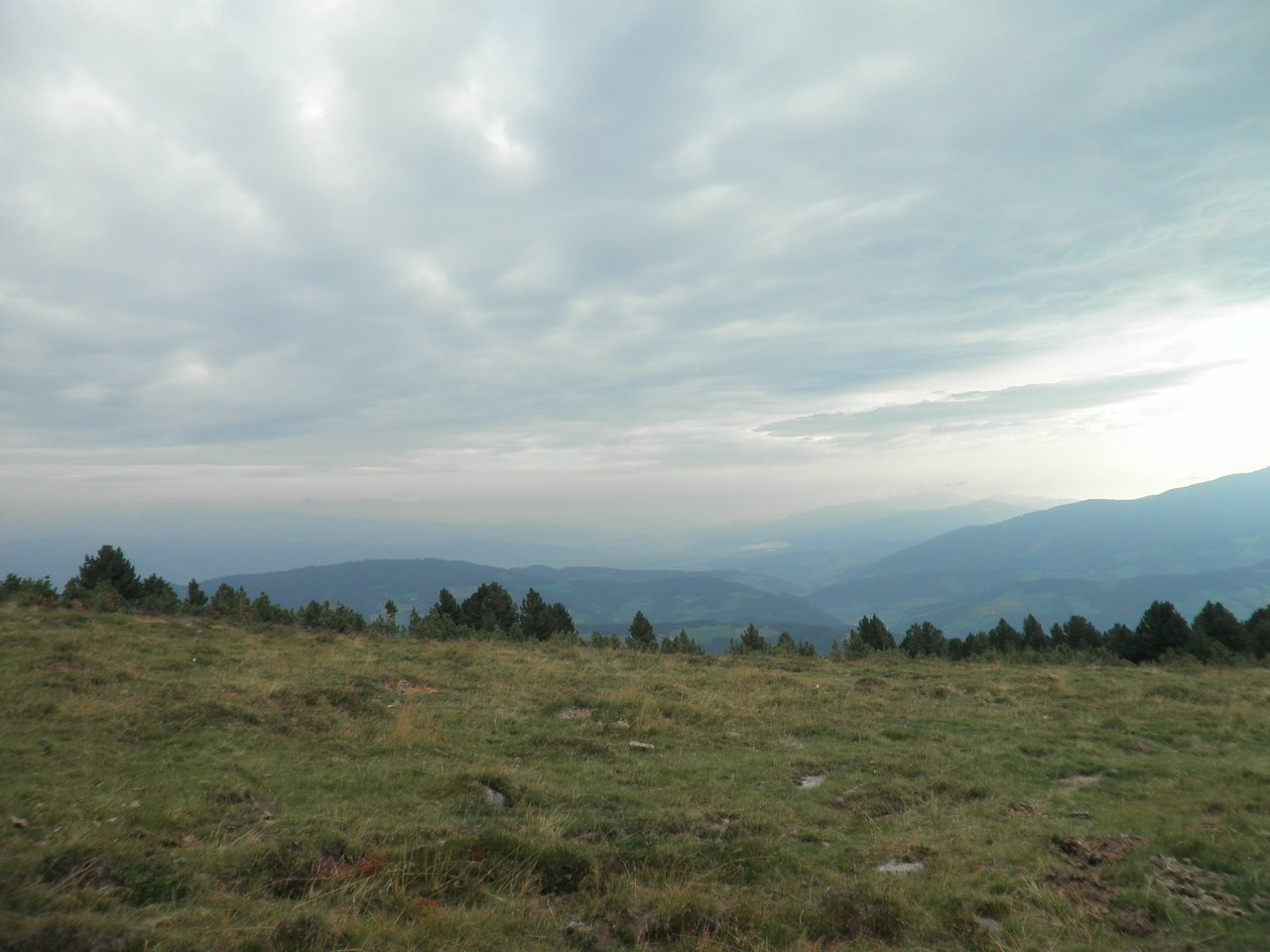 P9020014.JPG