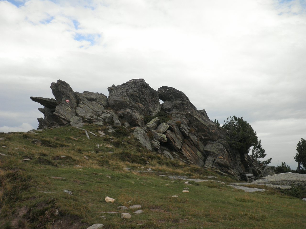P9020017.JPG