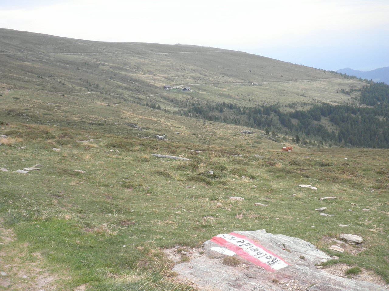P9020021.JPG