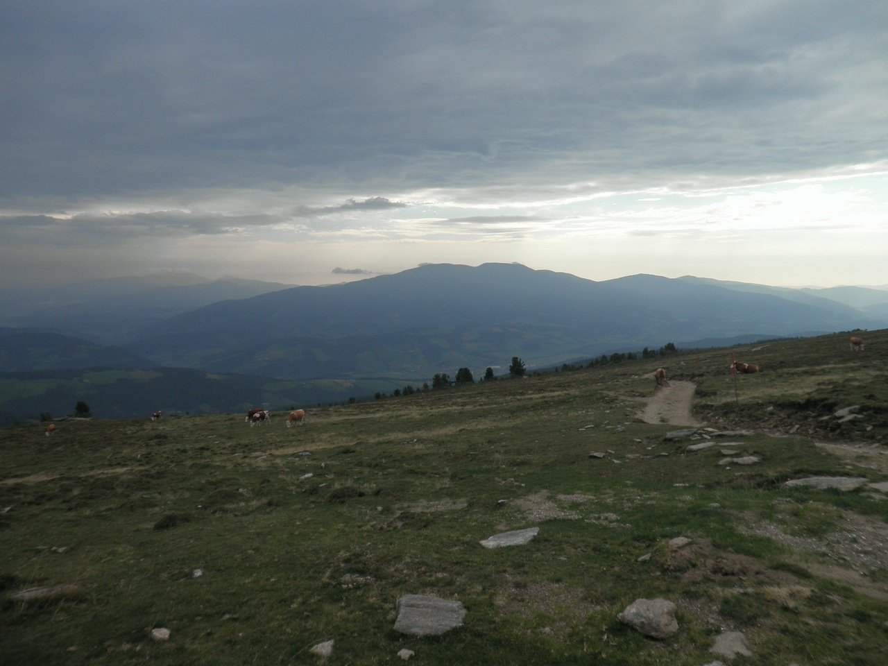 P9020022.JPG