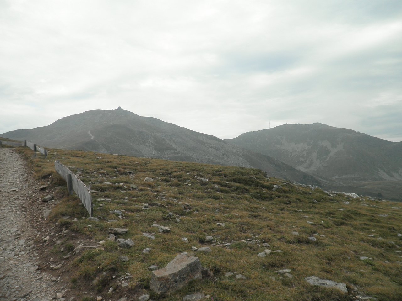 P9020030.JPG