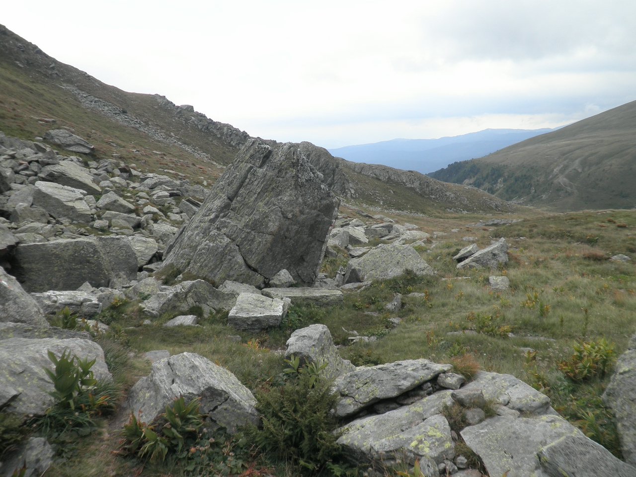 P9020112.JPG